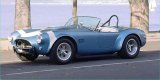 See the 289/FIA cars!